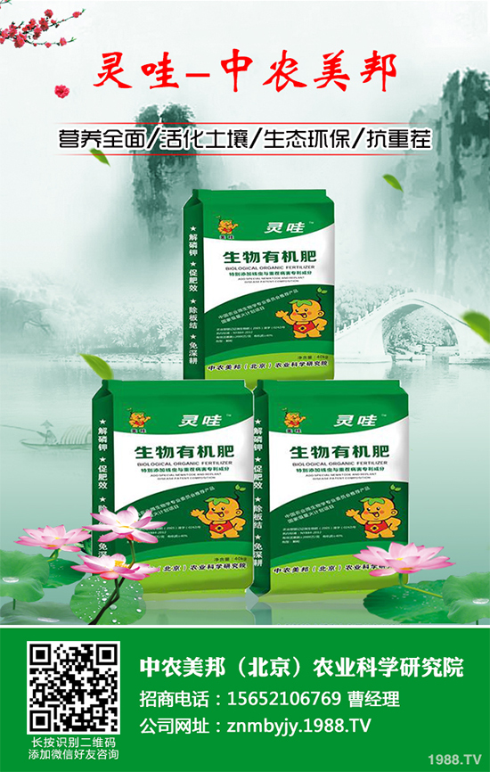 ���᳣Ҋ��������Щ��ԓ����A(y��)�������Ს���İl(f��)���c������