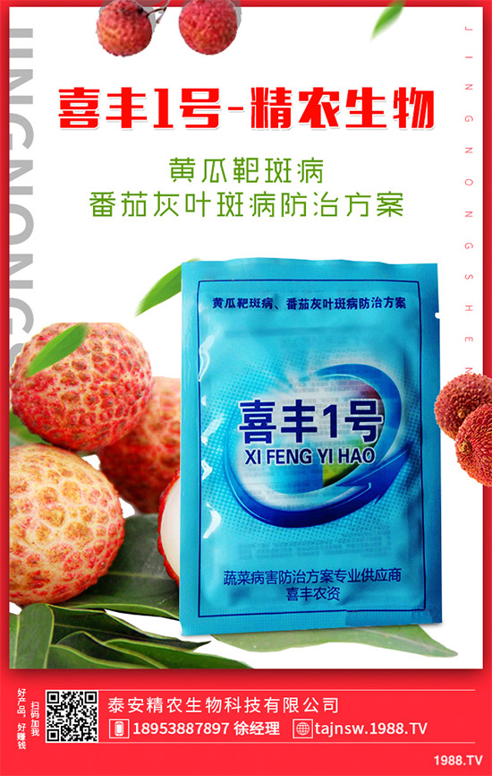 �V���X�ݷNֲ��Ҫ��Щ�l�����V���X��Ǥ������Ҫ�c(di��n)��