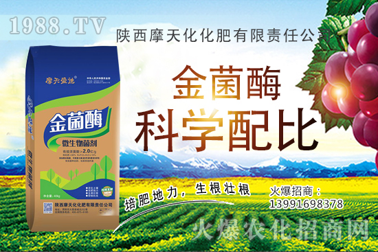 2020�����Nֲǰ����ô�ӣ������N�Ӷ����X(qi��n)һ����