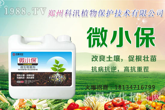 ����Ĺ�Ч�c�����������c�����Ă����РI�B(y��ng)��