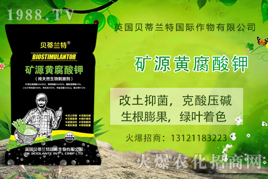 ���ܹ���ô�N�����ܹϷNֲ��(y��ng)ԓע����Щ���(xi��ng)��