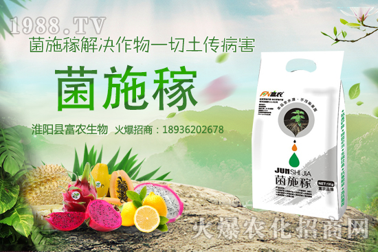 2020���r(n��ng)��NҰ��ٍ�X�����x����ЩҰ��Ʒ�NЧ��������h�ղ���