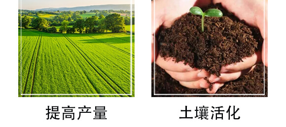 ΢�������-�r(n��ng)��һ_07