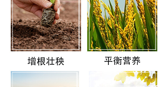 �S������΢�ЙC(j��)����-С����-�r(n��ng)��һ_06