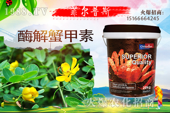 ������ô�Nֲ�������Nֲ���g(sh��)Ҫ�c(di��n)��