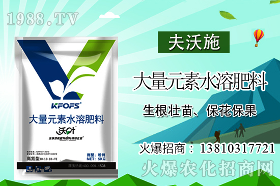 冬瓜高產(chǎn)施肥要點,冬瓜什么時候采收?