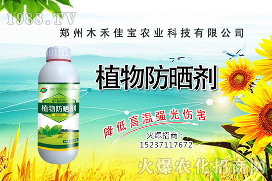 ������Nֲ����Ҫ�c����Щ�����������Է�����