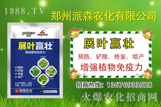 �²�ʲô�r�򲥷N���²��Ј�ǰ����������Nֲ�ɱ�������������