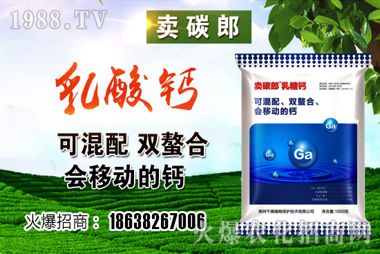 ���؃r(ji��)��