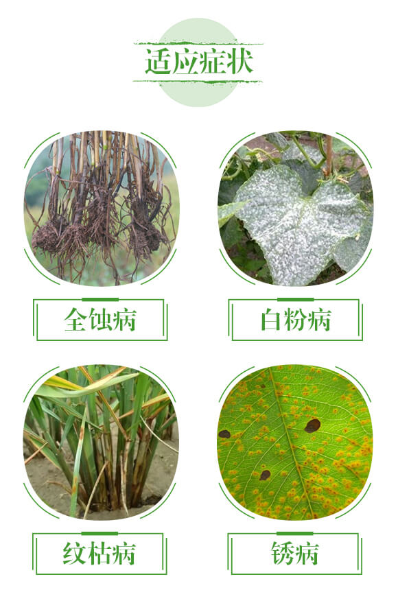 ��(qi��ng)��չ��⛾�-��ʢ��ɽ_04