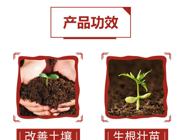 ϡ��΢�������-���ܴa-ؐ��(l��)_06