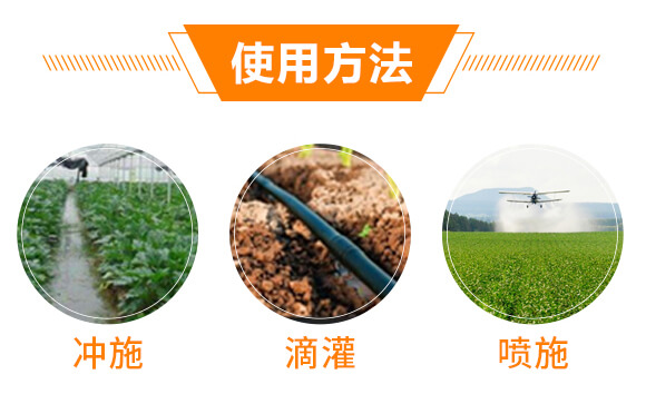 ��(f��)��΢����_ʩ��-�{�������-���w��-���W����_09