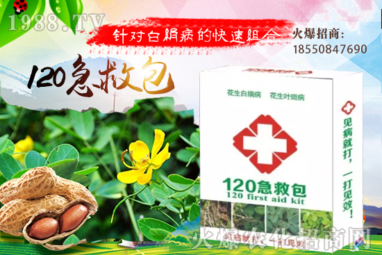 �ȹ����緽������Щ���ȹ���ô���Զ�ֲ��