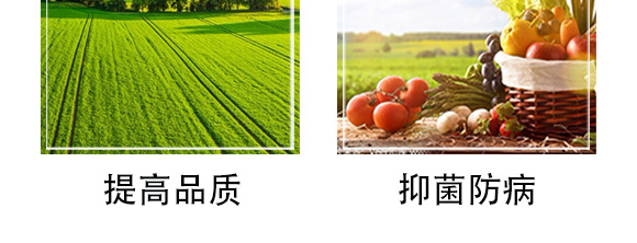 白粉型抑菌劑-粉無蹤-碩達(dá)_08