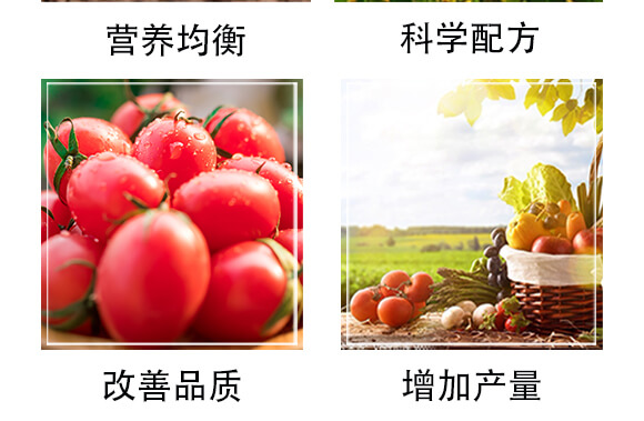 �����ЙC(j��)��-�S�r(n��ng)_05