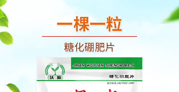 一棵一粒-沃源生物_01