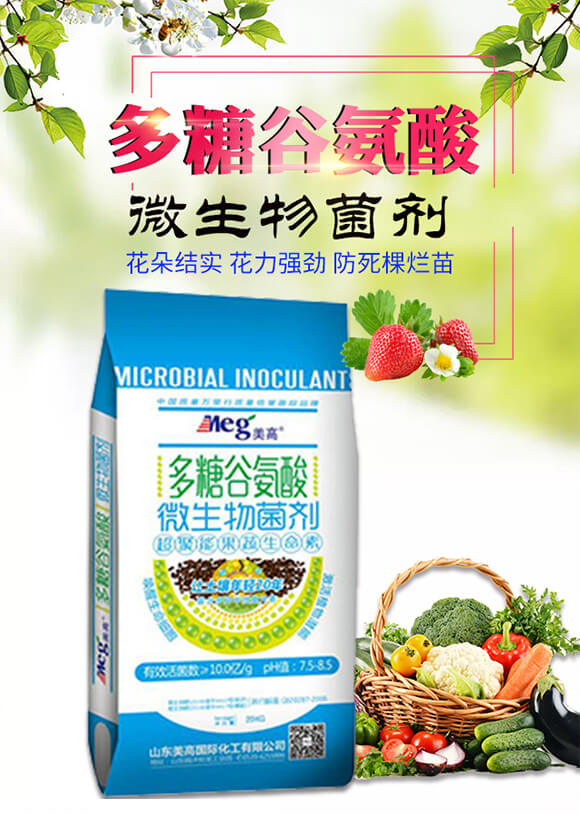 ���ǹȰ���΢�������-����_(d��)01