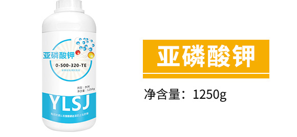 白粉型抑菌劑-粉無蹤-碩達(dá)_05