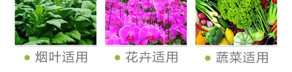 ��(x��)��������-���S���@_09