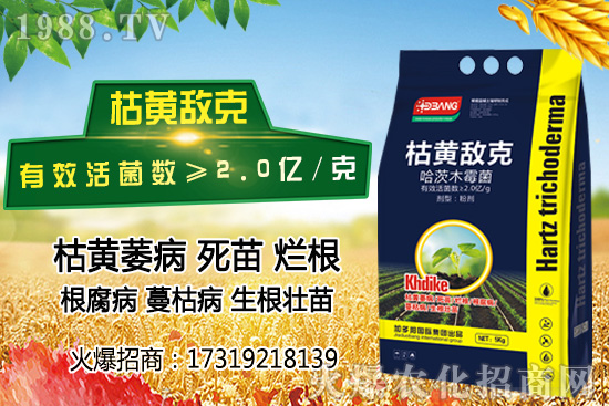 �������~