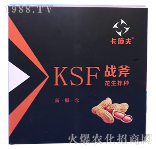 ������N����Щ��̎��������N��ʲô��N����