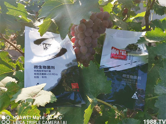 �îa(ch��n)Ʒ�����ã���һ�t���΢������������t���͑��挍(sh��)������