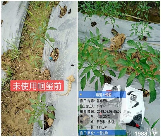 �îa(ch��n)Ʒ����������һ�t���΢������������t���͑��挍(sh��)������