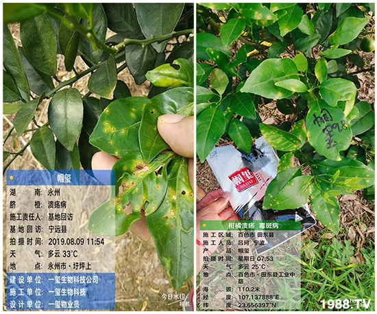 �îa(ch��n)Ʒ�����ã���һ�t���΢������������t���͑��挍(sh��)������