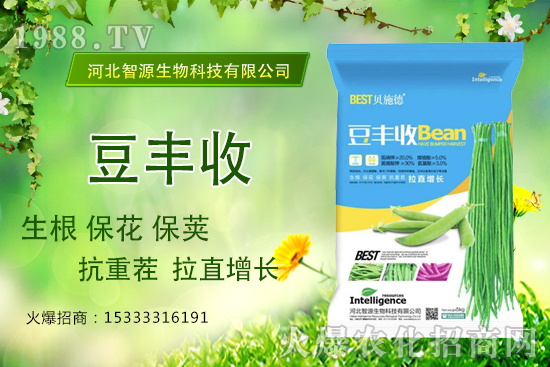 ���ˡ����S�ա���������ֱ���L�a(ch��n)���������S����ʲô��(y��u)����