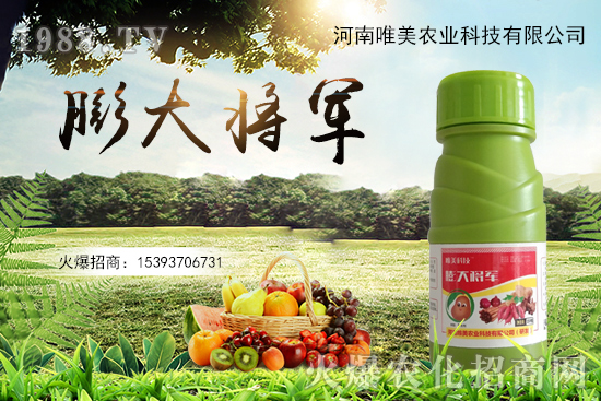 ���������������С��ô��Q����������ʵ��x������Щ��