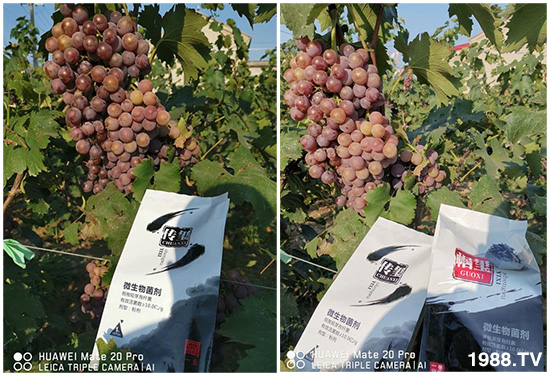 �îa(ch��n)Ʒ����������һ�t���΢������������t���͑��挍(sh��)������