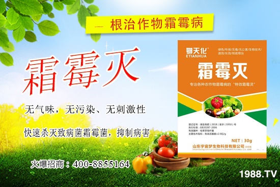 �S��˪ù��������ô�k�����������S��˪ù����