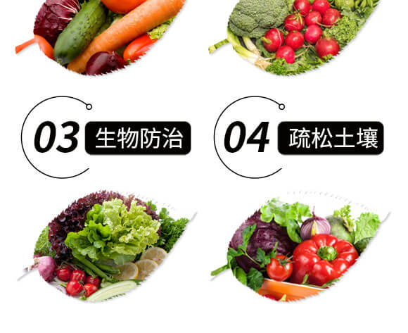 高濃縮復(fù)合微生物菌劑EM菌-生根快-金匠星_05