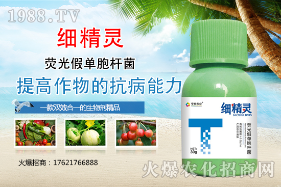 �����r(sh��)��̩��ô���������r(sh��)��̩��Ҫ�a(ch��n)Ʒ����Щ��