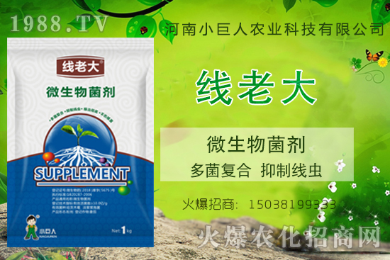 ���Y(ji��)���xզ���������Y(ji��)���x����-�����ϴ󡱶����(f��)�������ƾ��x��