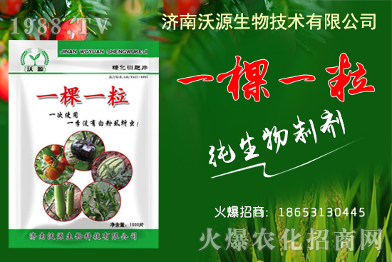 蚜蟲、白粉虱、薊馬怎么防?沃源生物“一棵一!睔⒊x卵,藥效!