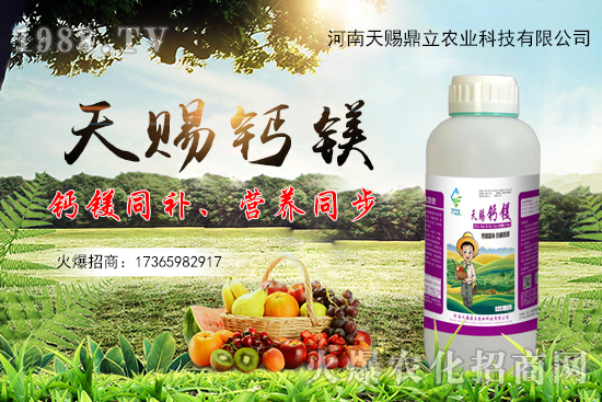 ���n������ʲô��(y��u)�������n�������Ʈa(ch��n)Ʒ����Щ��