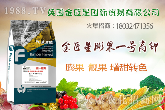 英國金匠星怎么樣?英國金匠星主營哪些產(chǎn)品?