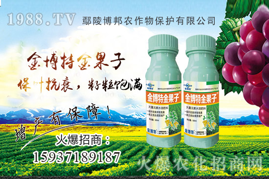 ������˥�p�a(ch��n)����ԓզ�k��������˥ԭ�����Nֲ����α�����