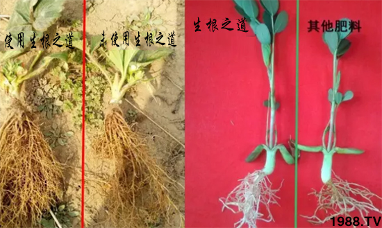 �����ϵ�����a(ch��n)���ͣ�������֮���������¸����������a(ch��n)�o�n��