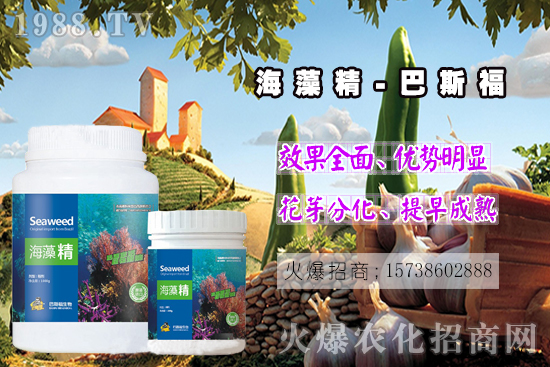  ߀���˽⺣�徫��ɶ����������out�������徫�����ж����