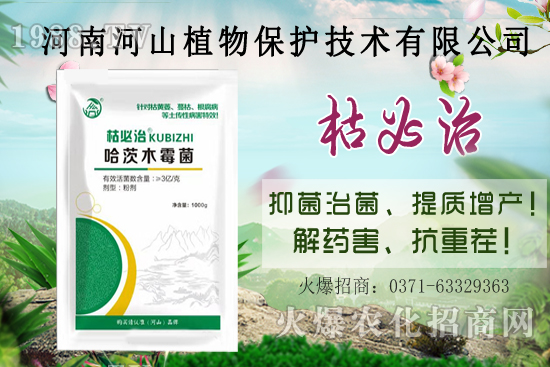 河南河山植物海報