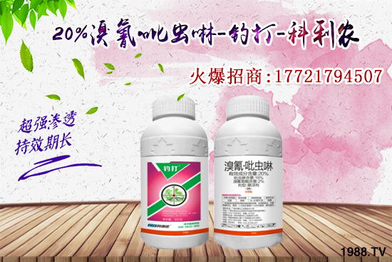 �������x(ch��ng)���l(f��)̫���������x(ch��ng)��ô��Ч���ã����x(ch��ng)���η�������Щ��