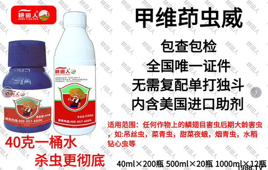 ����Ʒ�r(n��ng)ˎ�������¼Z�}������������ô�������x���a(ch��n)Ʒ����Щ��