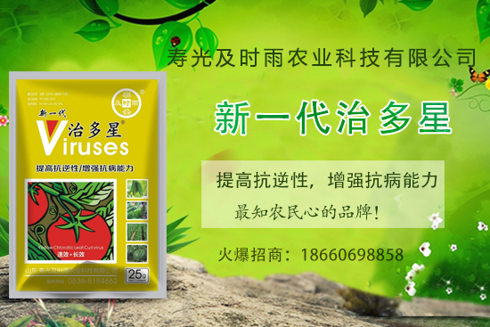 ���Ѳ�������֪���׷N�����Ӻ������η��Ѳ�������(��(n��i)�����η���) 