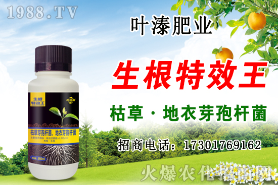 ���؃r(ji��)��