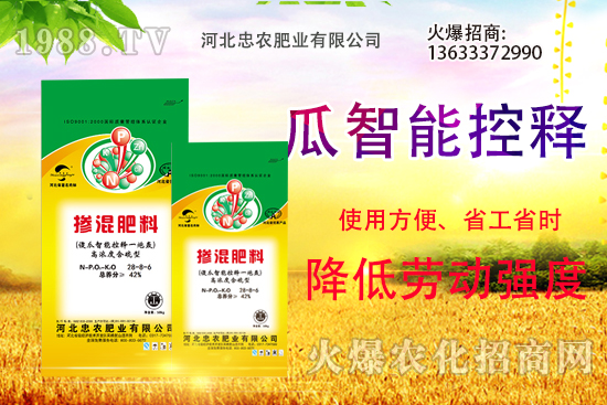 �������������Щ������ʵ�ʹ�÷�����ԓ����xُ��