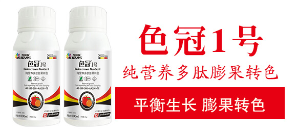 ���I�B(y��ng)��������D(zhu��n)ɫ-ɫ��1̖-�P��˹_03