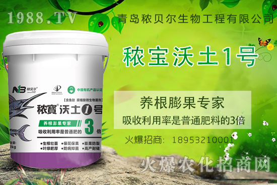 果實養(yǎng)根膨果關(guān)鍵期,果實養(yǎng)根膨果該施什么肥呢?