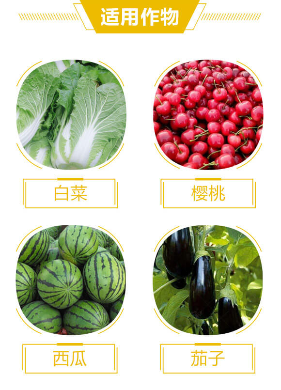 ��Ȼ�Ǵ������Ƅ�-�Ǵ���-��������_04